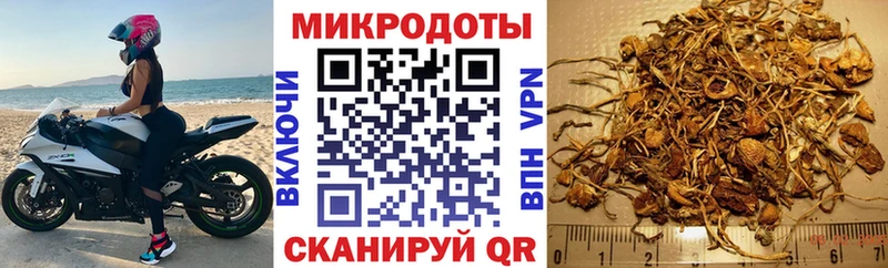 Псилоцибиновые грибы GOLDEN TEACHER  Верея 